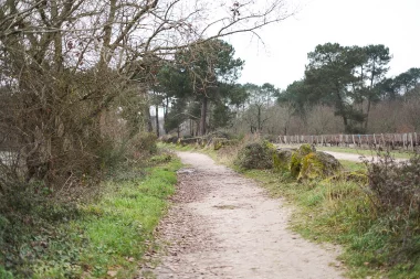 Etang de Paloumey   Chemin.